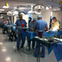 Excelen, Center For Bone and Joint Research and Education