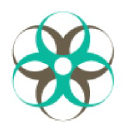 Expert Virtual Assistant Services Ltd