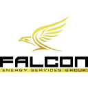 Falcon Energy Services Group