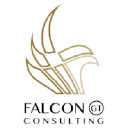 Falcon GT Consulting Zrt.