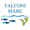 Falconi Mare ApS