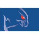 Falcon Security Solutions Ltd.