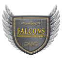 Falcons International Consultancy