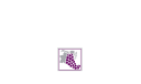 Fare To Remember Inc