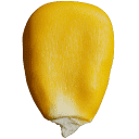 Farinart