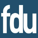 Fdu - Insight | Simplicity