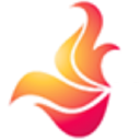 Fire Safety In Order Ltd