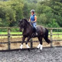 First Choice Dressage
