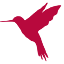 First Wise Media GmbH
