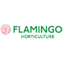 Flamingo Horticulture