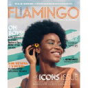 JSR Media / Flamingo