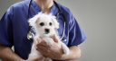 Flinders View Veterinary Surgery