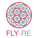 FLYRE LIMITED