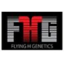 Flying H Genetics