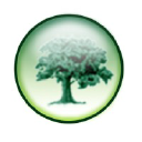 Focom Limited