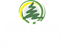 Foliage Outdoors