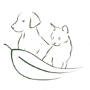 Foothills Animal Hospital