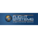 Flight Systems Electronic Group