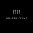 Galleria Farms Llc