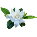 Gardenia Group