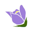Healing Words Foundation