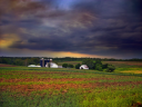 Hostetter Realty
