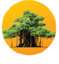 GSFC University