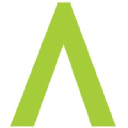 Inspidea