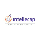Intellecap Advisory Services Pvt Ltd