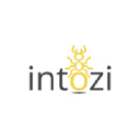 Intozi