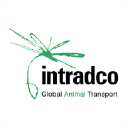 Intradco Global