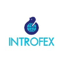 Introfex
