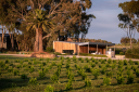 Izway Wines