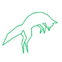 Jungle Fox