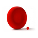 KaloCyte, Inc.