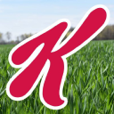 Kellogg India