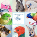 Kelly Ryner Wildlife Conservation Artist