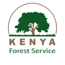 Kenya forest service