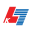 Financial Statement Services Inc.