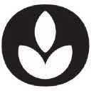La Fourmi Bionique