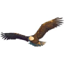 Lead Eagle Ltd