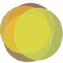 Lemon and Lime