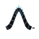 LifeWaves International LLC