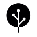 Light Tree Ventures Group