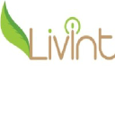 Livint