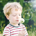 Daewoo International