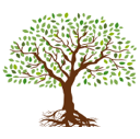 Devon Financial Partners