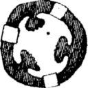 MAISON LOUIS MARIE LLC