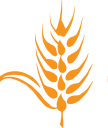 The Malt Company India Pvt Ltd