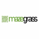 Maze Grass UAE - Leading Supplier of Artificial Grass across the MENA Region